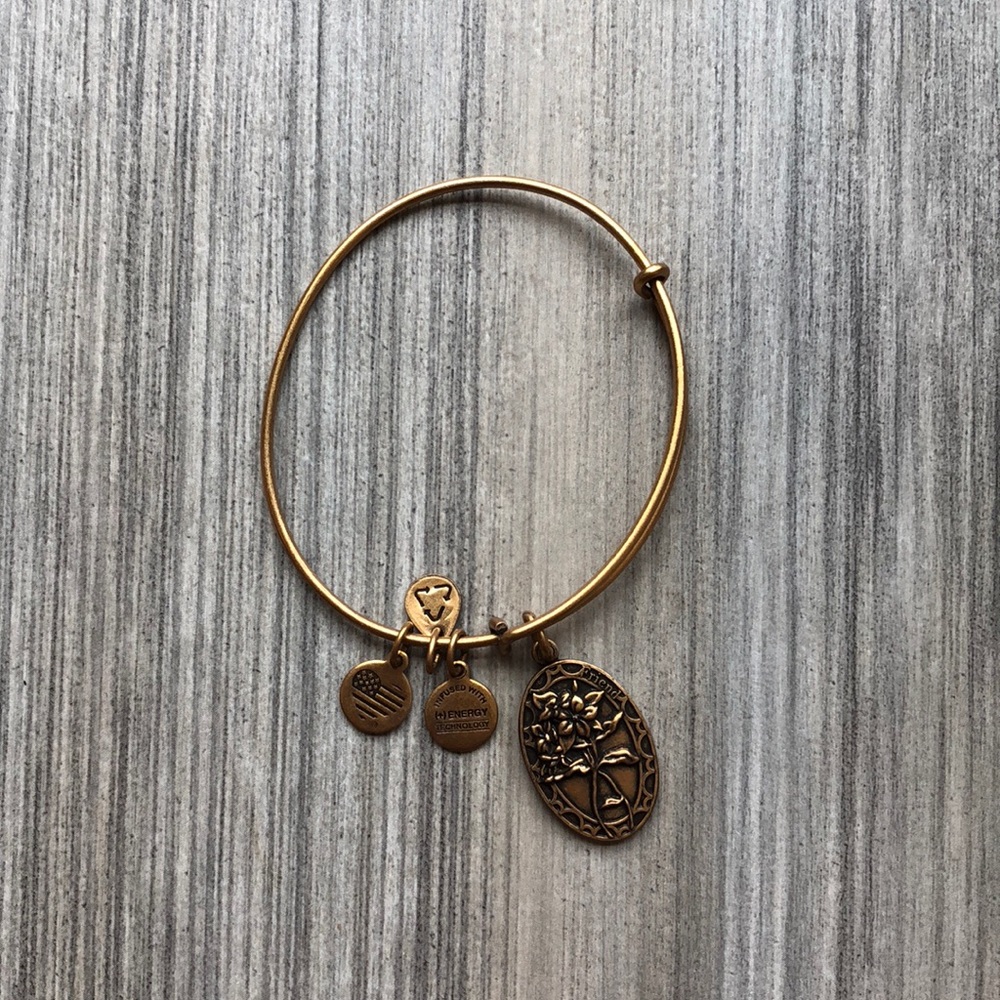 ALEX AND ANI